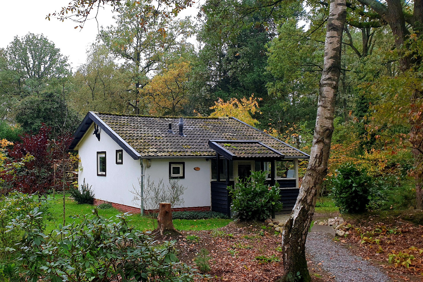 Voorbeeld afbeelding van Bungalow, vakantiehuis Lodge Hooghalen in Hooghalen