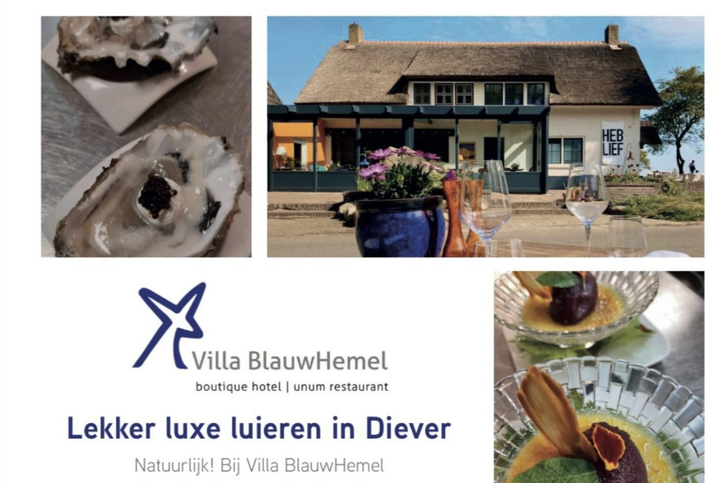 Voorbeeld afbeelding van Restaurant Villa BlauwHemel in Diever
