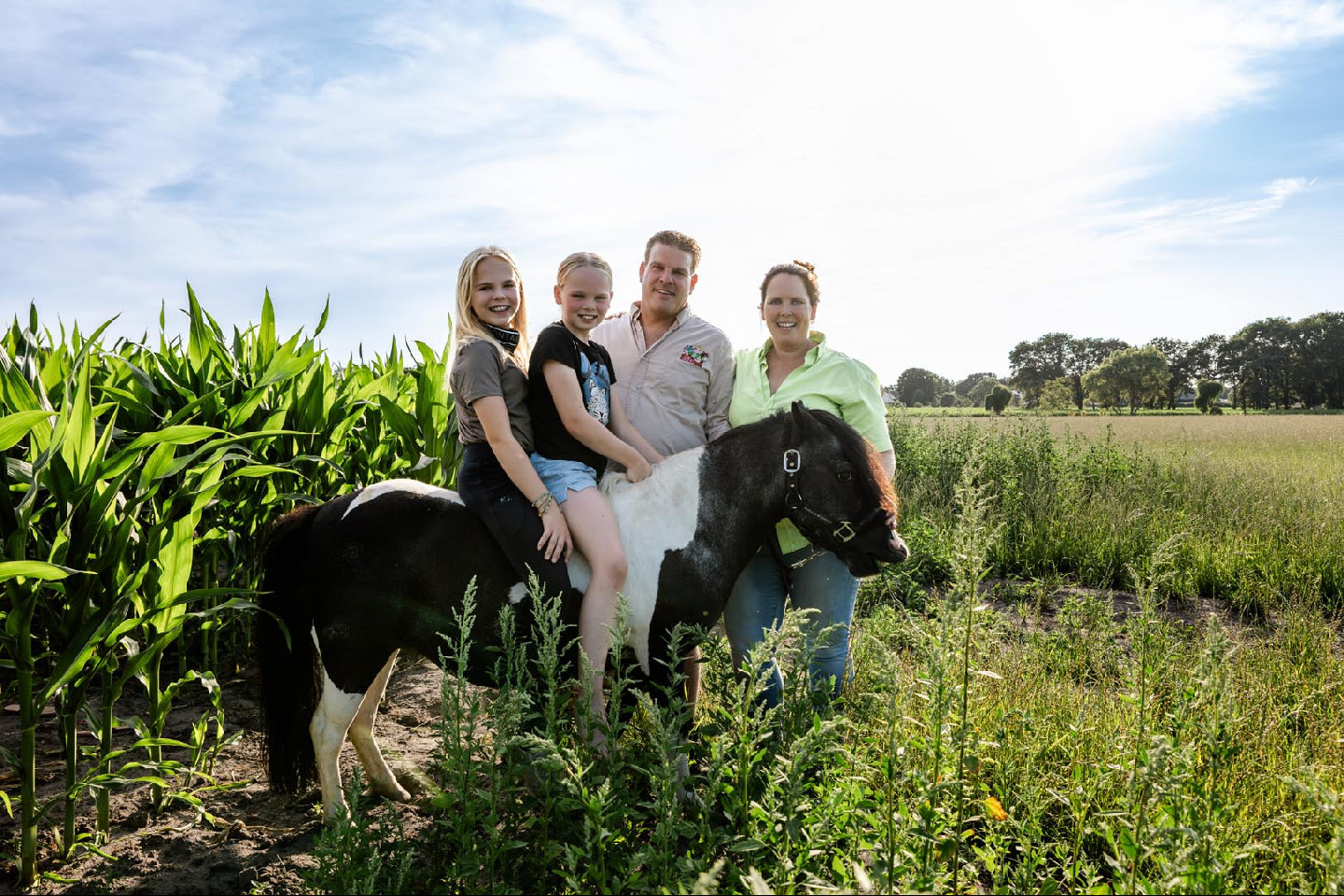 Voorbeeld afbeelding van Huurtent FarmCamps Breehees in Goirle