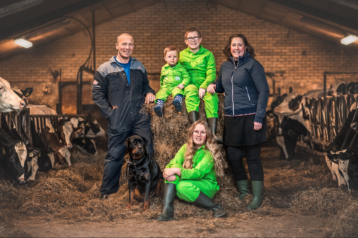 Voorbeeld afbeelding van Huurtent FarmCamps de Stolkse Weide in Stolwijk