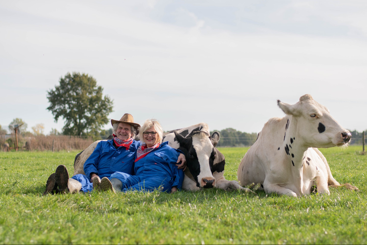 Logo van FarmCamps Den Branderhorst