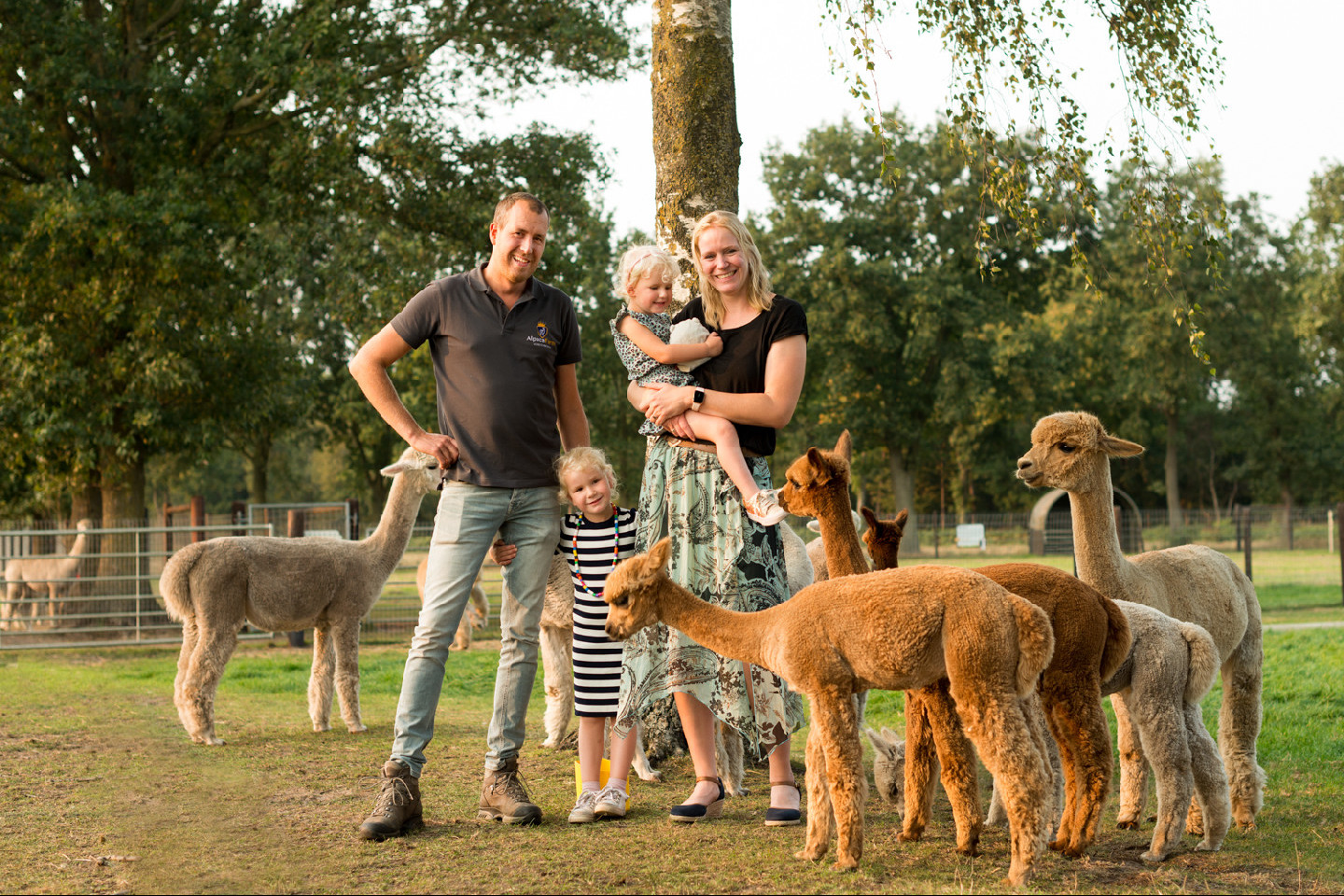 Voorbeeld afbeelding van Huurtent FarmCamps Alpaca Vorstenbosch in Veghel