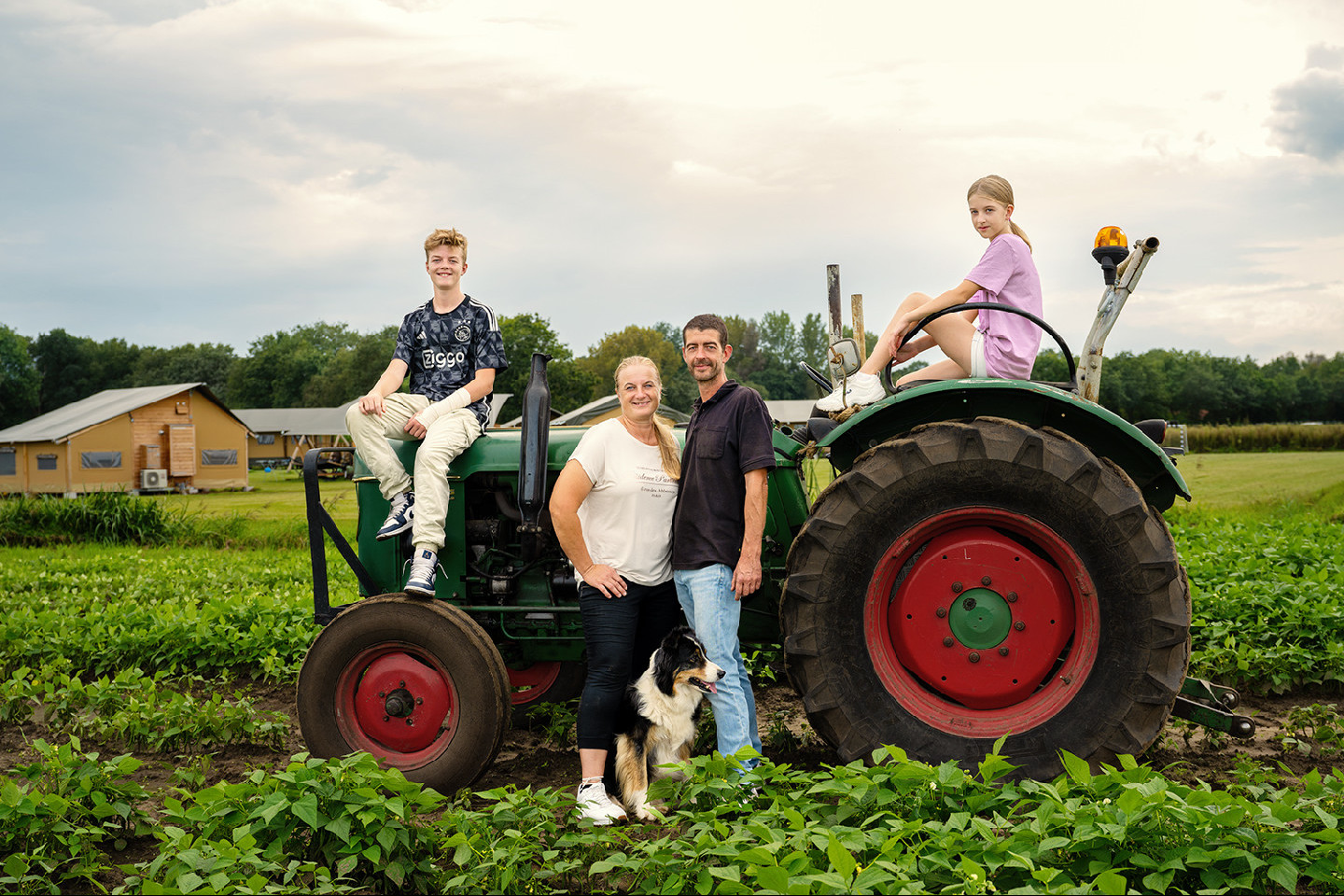 Voorbeeld afbeelding van Huurtent FarmCamps De Kalverliefde in Stramproy