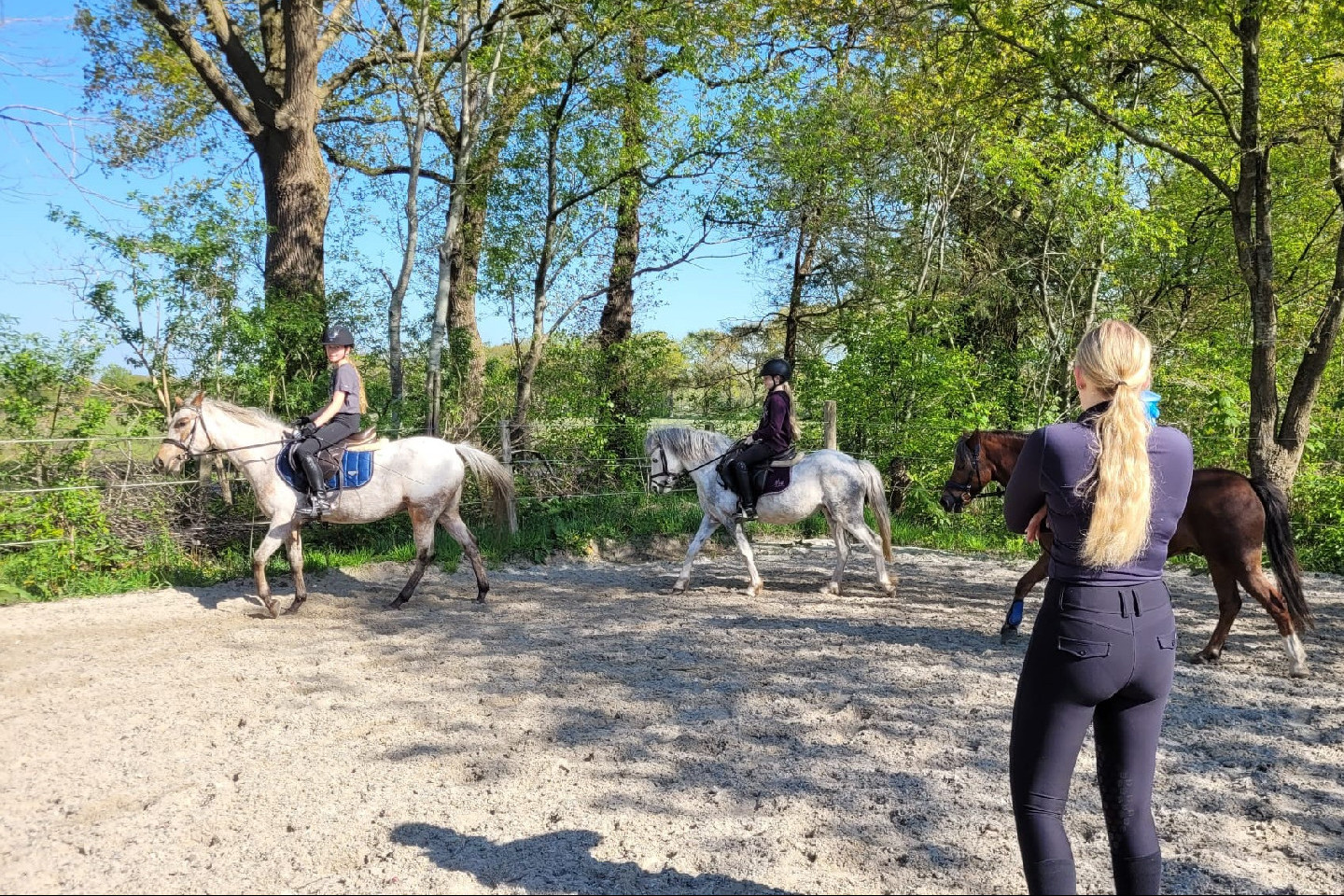 Voorbeeld afbeelding van Ponykamp, ruiterkamp Hoeve Heide en Wold Ruitervakantiekampen in Wateren