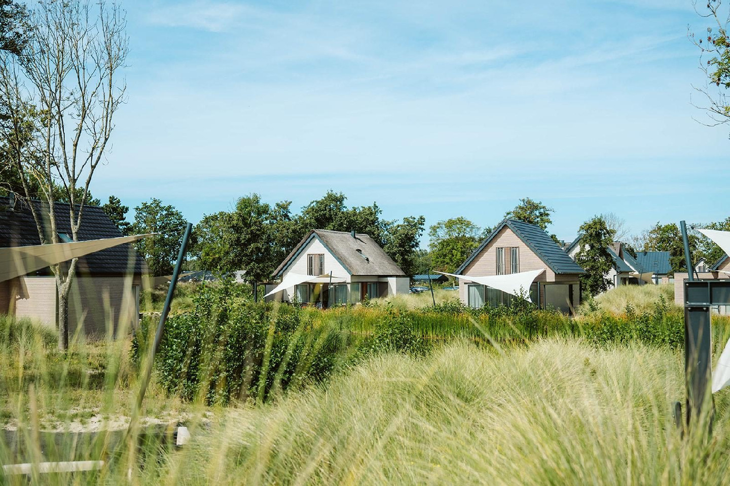 Voorbeeld afbeelding van Bungalow, vakantiehuis Ridderstee Ouddorp Duin in Ouddorp