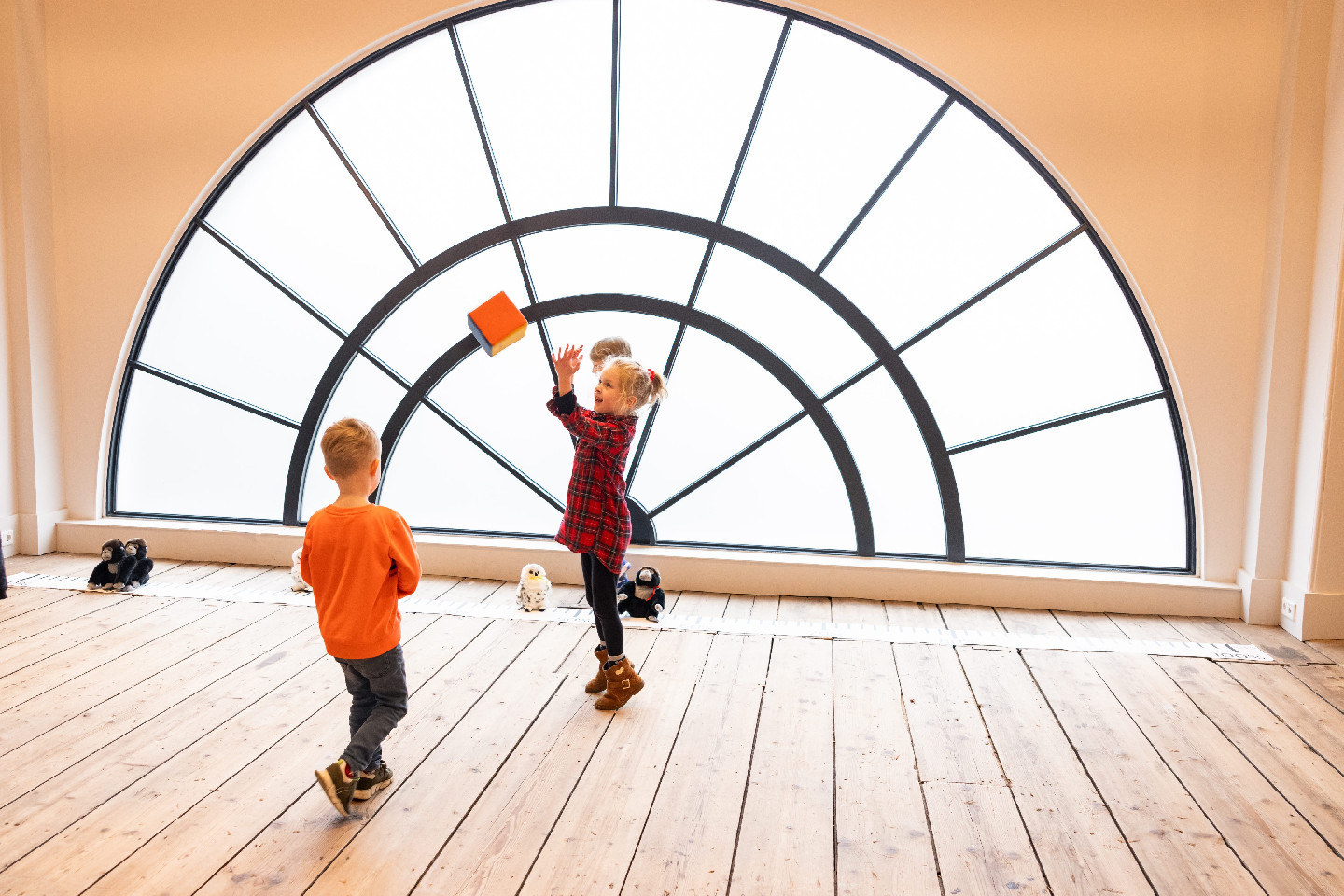 Voorbeeld afbeelding van Museum Artis Groote Museum in Amsterdam