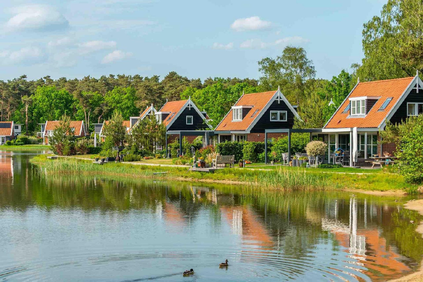 Voorbeeld afbeelding van Bungalow, vakantiehuis Europarcs De Zanding in Otterlo