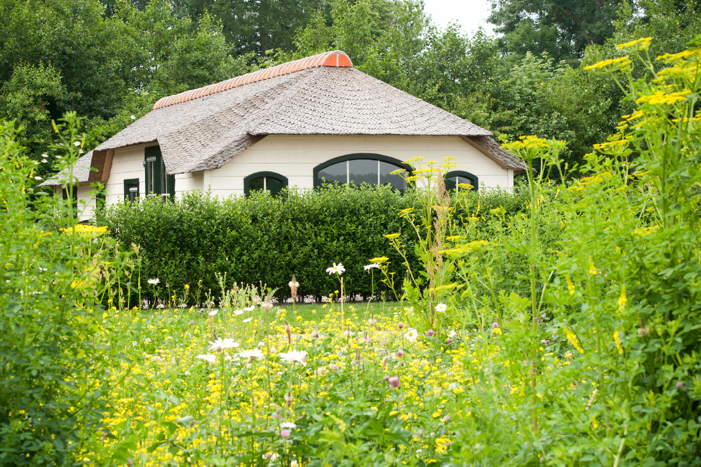 Voorbeeld afbeelding van Bungalow, vakantiehuis Maria Hoeve Logies in Woubrugge