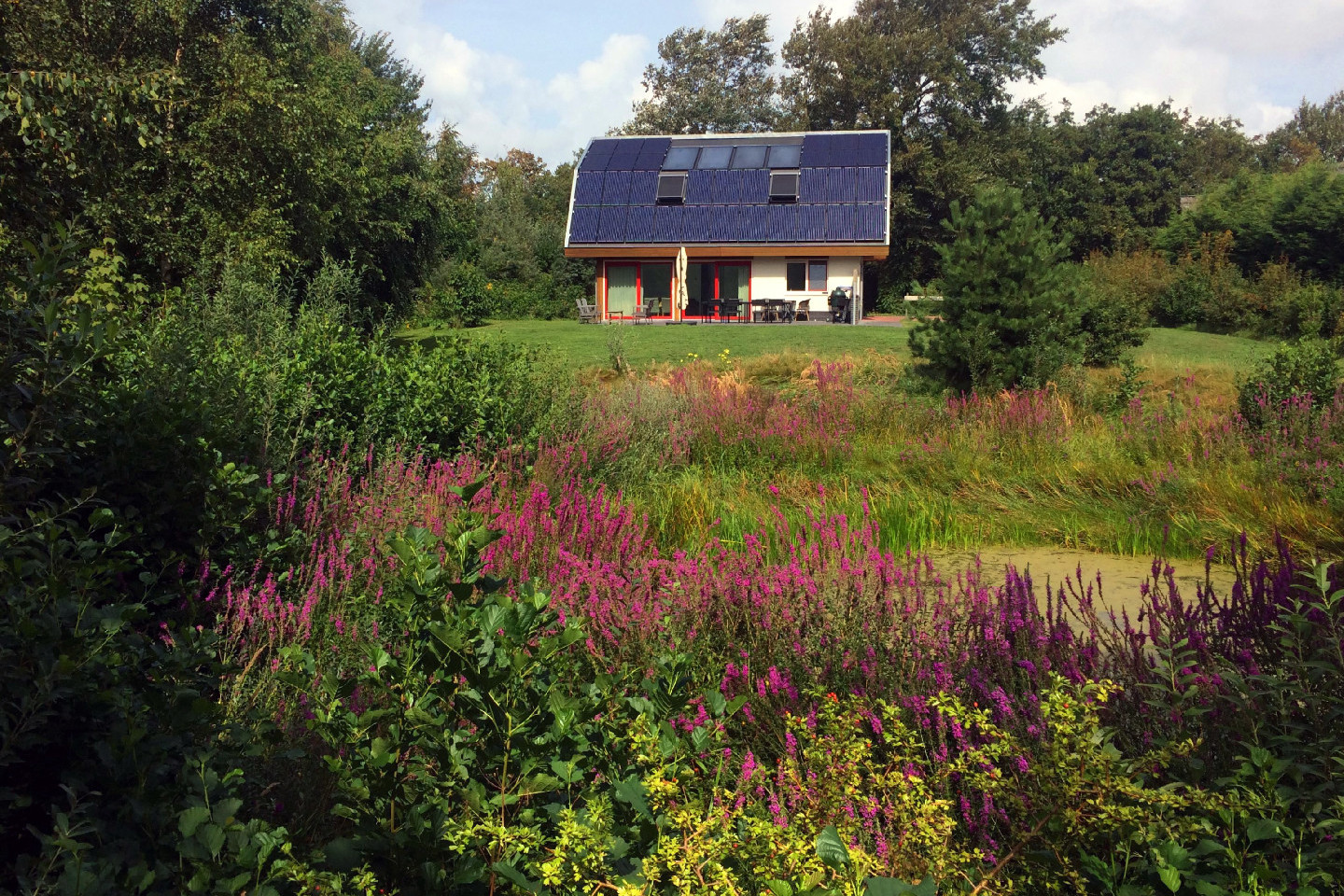 Voorbeeld afbeelding van Bungalow, vakantiehuis Bosrandbungalow Texel in Den Burg (Texel)