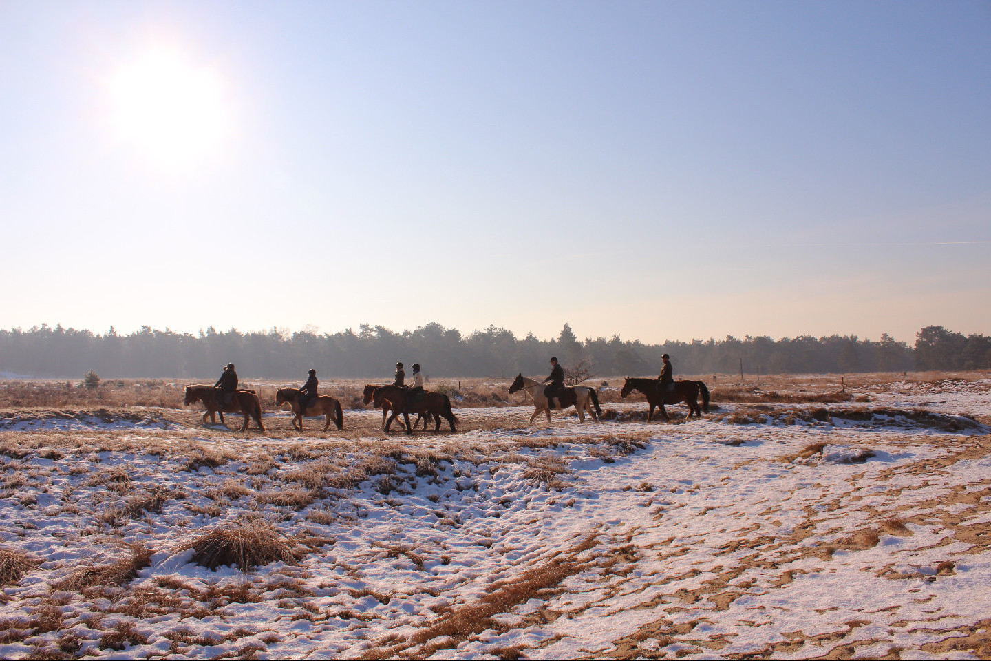 Voorbeeld afbeelding van Paardrijden, Manege, Huifkar Manege van Loon in Loon op Zand