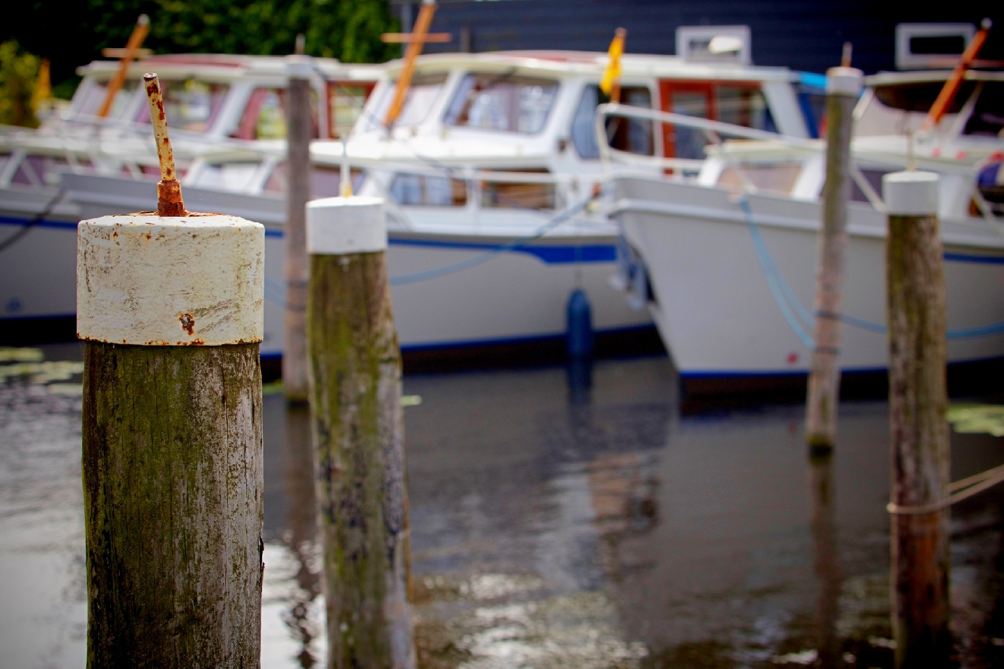 Voorbeeld afbeelding van Passantenhaven, Jachthaven Jachtwerf van der Laan - Haven in Woubrugge