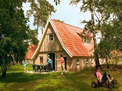 Voorbeeld afbeelding van Bungalow, vakantiehuis Landal Landgoed De Hellendoornse Berg  in Haarle