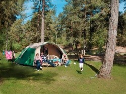 Voorbeeld afbeelding van Kamperen Landal Camping Coldenhove in Eerbeek