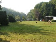 Voorbeeld afbeelding van Kamperen Camping Trimunt in Marum