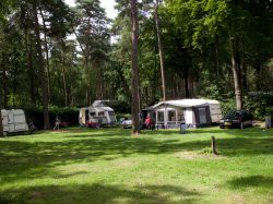 Voorbeeld afbeelding van Kamperen Succes Holiday Bonte Vlucht in Doorn