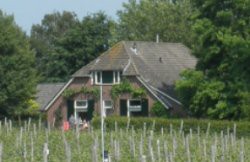 Voorbeeld afbeelding van Bed and Breakfast Wijnboerderij 't Heekenbroek in Drempt