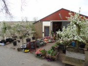 Voorbeeld afbeelding van  Boerderij bezoek,Kinderboerderij Vink Fruitboerderij in Kraggenburg