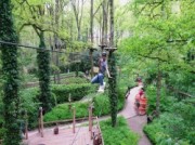 Voorbeeld afbeelding van Klimmen Fun Forest Venlo in Tegelen
