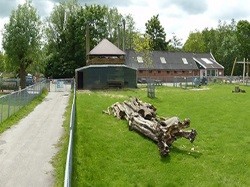 Voorbeeld afbeelding van  Boerderij bezoek,Kinderboerderij De Beestenborg in Groningen