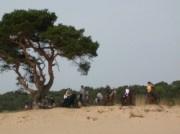 Voorbeeld afbeelding van Paardrijden, Manege, Huifkar Manege van Loon in Loon op Zand