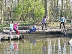 Voorbeeld afbeelding van Speeltuin Natuurspeeltuin de Speeldernis in Rotterdam