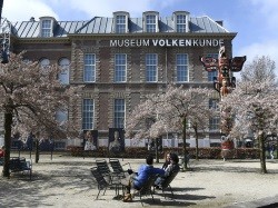 Voorbeeld afbeelding van Museum Museum Volkenkunde in Leiden 
