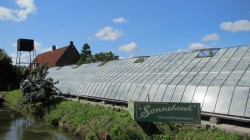 Voorbeeld afbeelding van Bezienswaardigheid Historische Druivenkwekerij Sonnehoeck in Kwintsheul