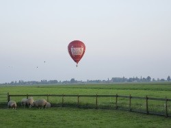 Voorbeeld afbeelding van Ballonvaart Kool Balloon Ballonvaarten in Bilthoven