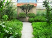Voorbeeld afbeelding van Tuinen, Kunsttuinen Wandeltuin De Groene Schuur in Groessen