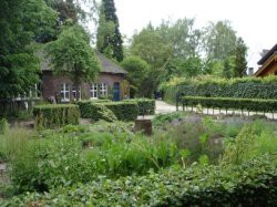 Voorbeeld afbeelding van Tuinen, Kunsttuinen Botanische tuin Jochumhof in Steyl